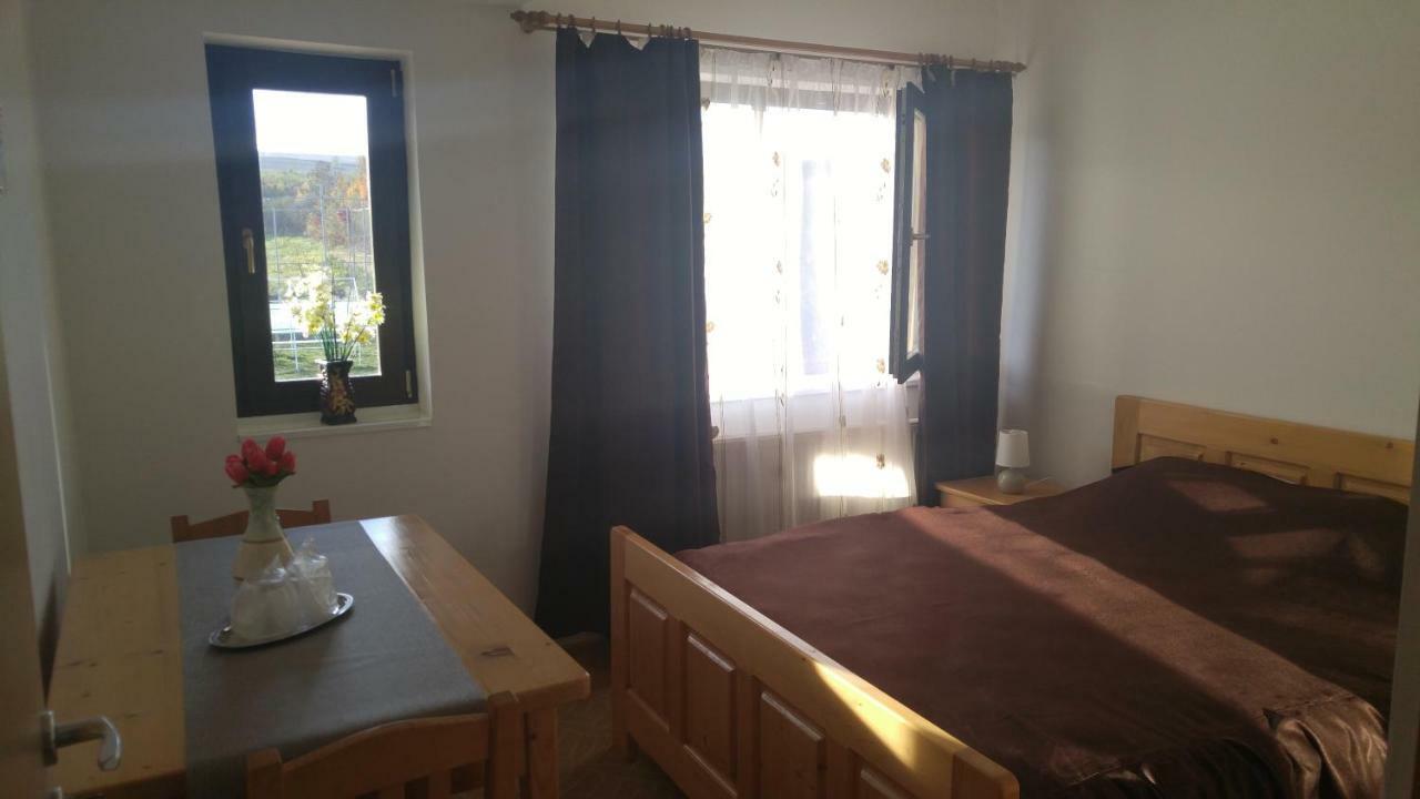 Hotel Pensiunea Casa Vanatorului Oteleni Exteriér fotografie