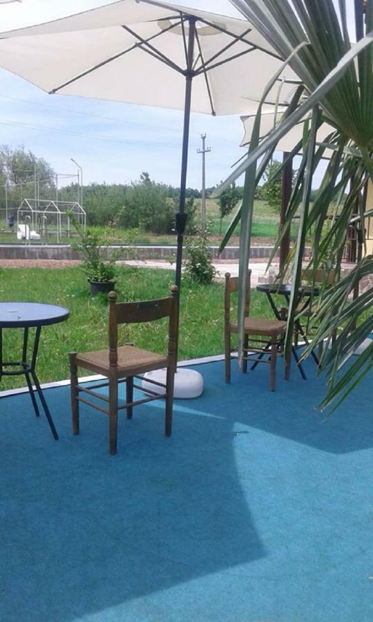 Hotel Pensiunea Casa Vanatorului Oteleni Exteriér fotografie