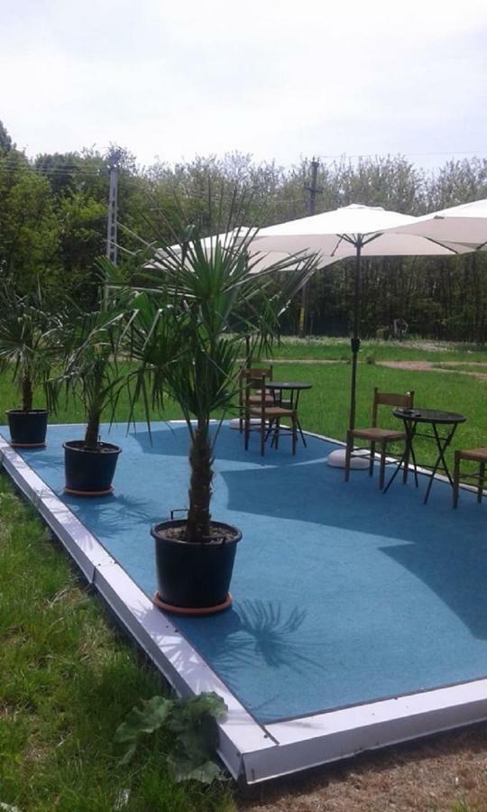 Hotel Pensiunea Casa Vanatorului Oteleni Exteriér fotografie